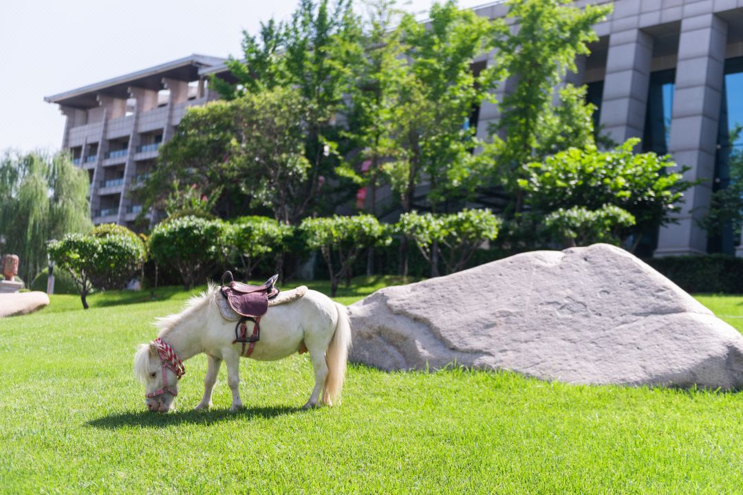 bevictorΰ�¹��� - Τ�¹ٷ���վ