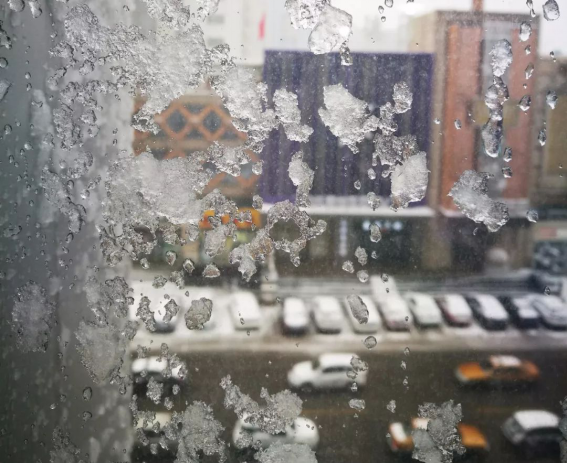 bevictorΰ�¹��� - Τ�¹ٷ���վ