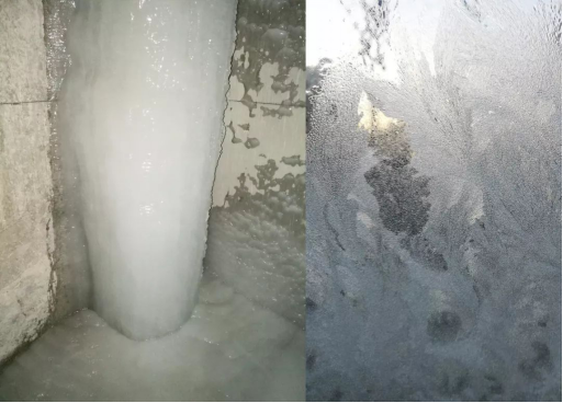 bevictorΰ�¹��� - Τ�¹ٷ���վ