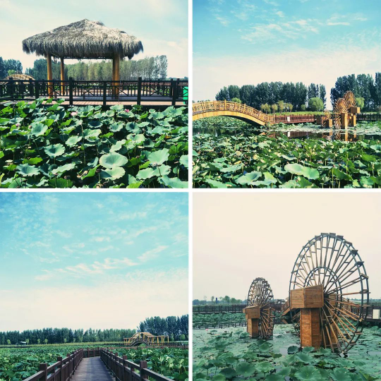 bevictorΰ�¹��� - Τ�¹ٷ���վ