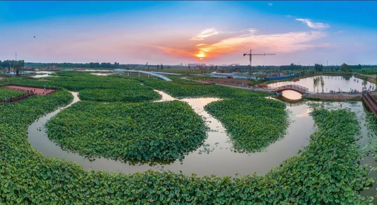 bevictorΰ�¹��� - Τ�¹ٷ���վ