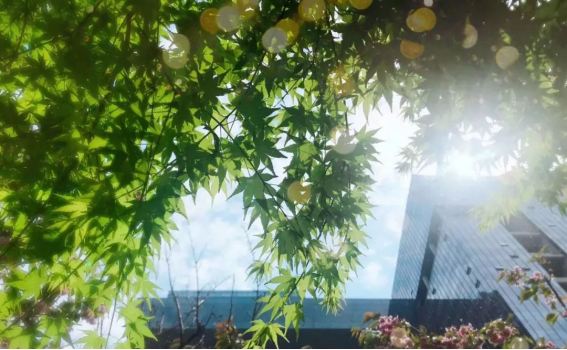 bevictor伟德官网 - 韦德官方网站