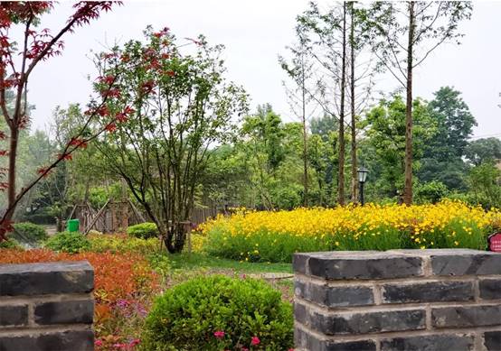 bevictorΰµÂ¹ÙÍø - ΤµÂ¹Ù·½ÍøÕ¾