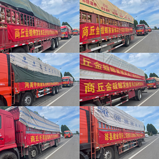 bevictorΰ�¹��� - Τ�¹ٷ���վ