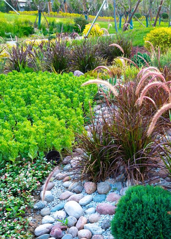 bevictorΰµÂ¹ÙÍø - ΤµÂ¹Ù·½ÍøÕ¾