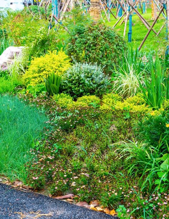 bevictorΰµÂ¹ÙÍø - ΤµÂ¹Ù·½ÍøÕ¾