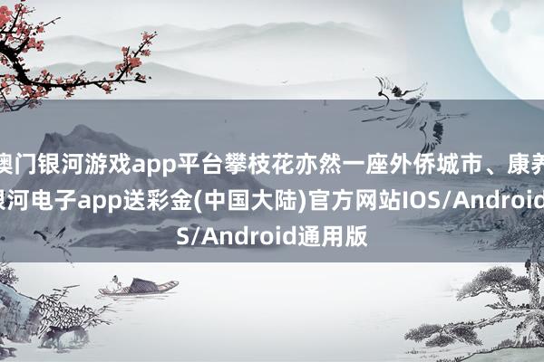 澳门银河游戏app平台攀枝花亦然一座外侨城市、康养之城-银河电子app送彩金(中国大陆)官方网站IOS/Android通用版